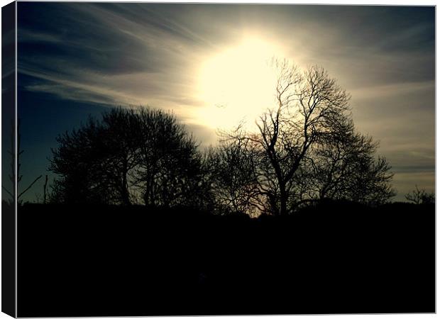 Tree With The Sun Canvas Print by Nigel G Owen