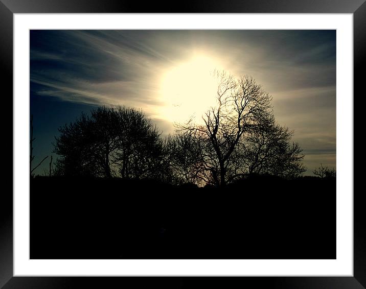 Tree With The Sun Framed Mounted Print by Nigel G Owen