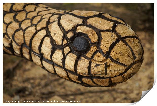 Wood Carving of a Snake  Print by Tina Collins
