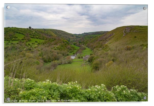 Monsal Dale Valley, Derbyshire Acrylic by Mark Roper