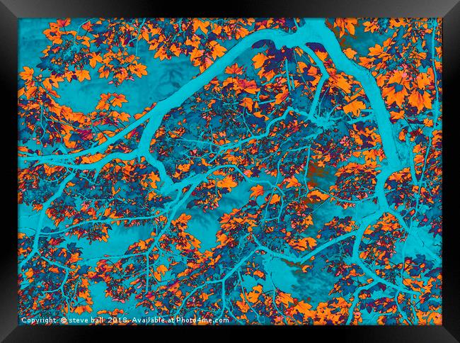 Blue and orange tree Framed Print by steve ball