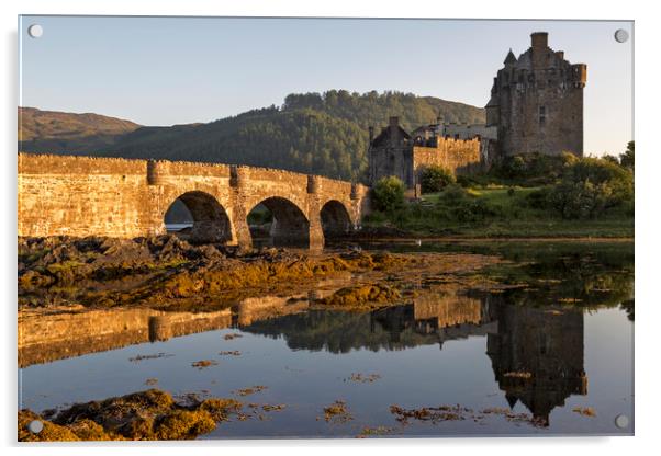 Eilean Donan Castle  Scotland. Acrylic by Derek Beattie
