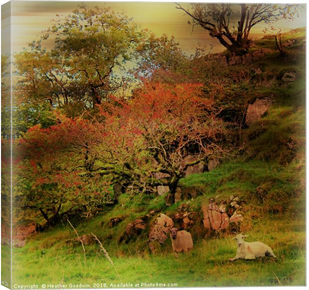 Pastoral Canvas Print by Heather Goodwin
