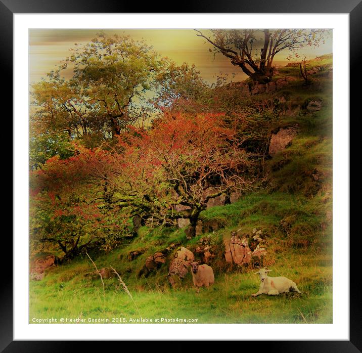 Pastoral Framed Mounted Print by Heather Goodwin