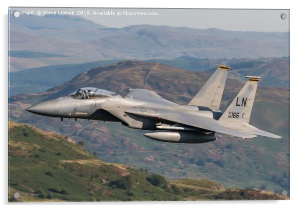 F-15C Eagle (86-166) 493rd  FS 'The Grim Reapers' Acrylic by Steve Liptrot