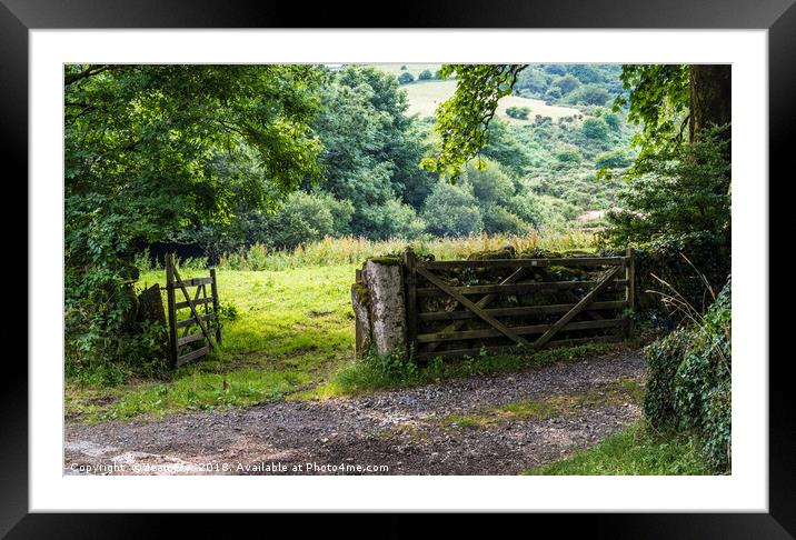 Farm gateways Huccaby - Dartmoor Framed Mounted Print by Jean Fry