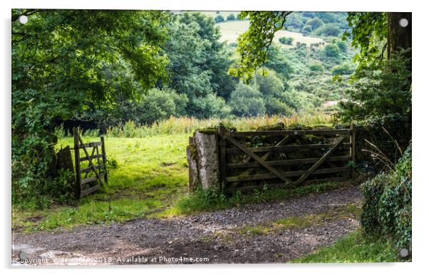 Farm gateways Huccaby - Dartmoor Acrylic by Jean Fry