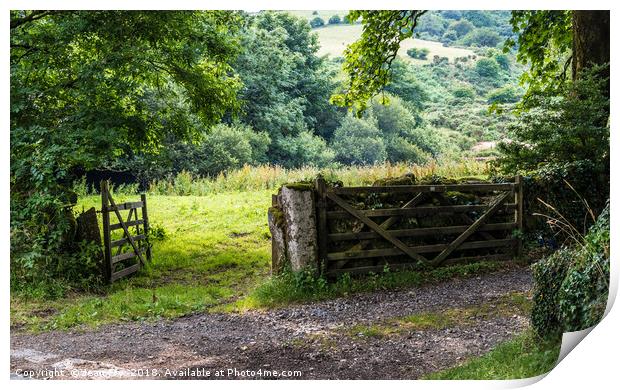 Farm gateways Huccaby - Dartmoor Print by Jean Fry