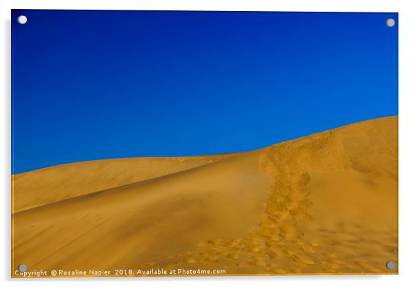 Dune 7 Namibia Acrylic by Rosaline Napier