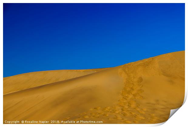Dune 7 Namibia Print by Rosaline Napier