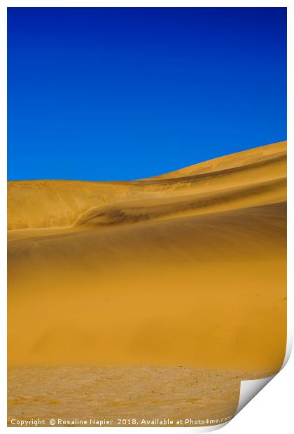 Dune 7 golden sands Namibia Print by Rosaline Napier