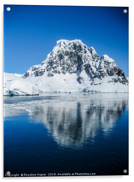 Antarctic mountain Acrylic by Rosaline Napier