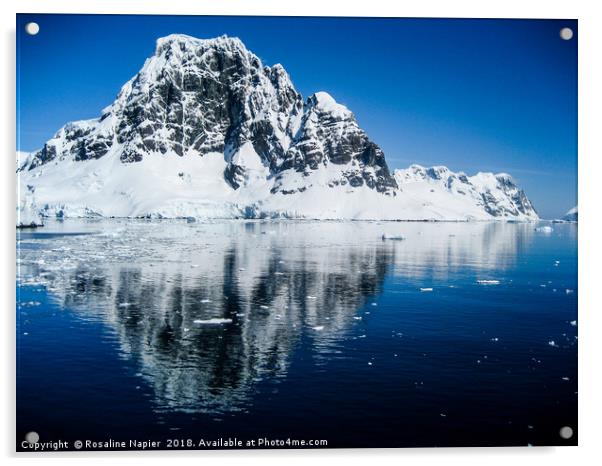 Antarctic mountain reflections Acrylic by Rosaline Napier