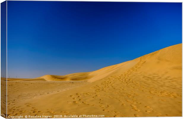 Dune 7 footprints Namibia Canvas Print by Rosaline Napier