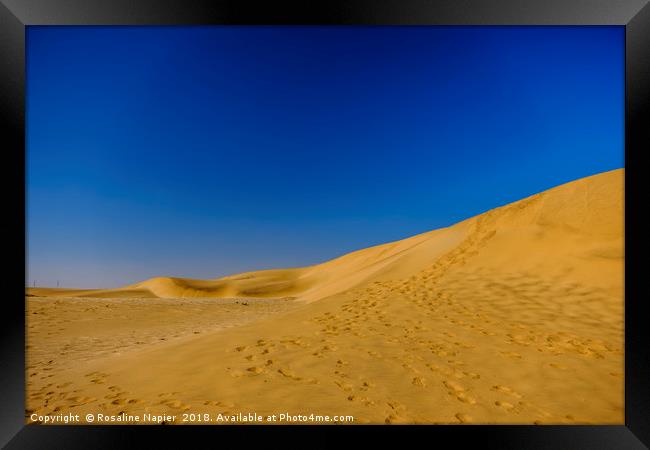 Dune 7 footprints Namibia Framed Print by Rosaline Napier