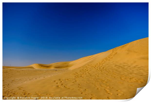 Dune 7 footprints Namibia Print by Rosaline Napier