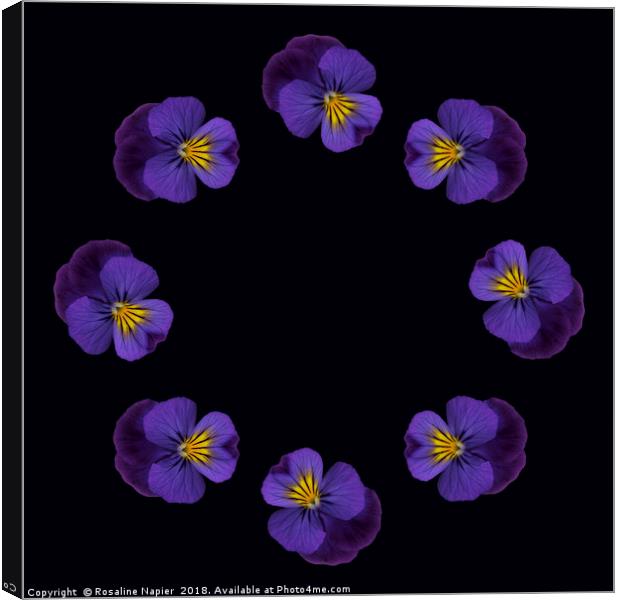 Ring of pansies Canvas Print by Rosaline Napier