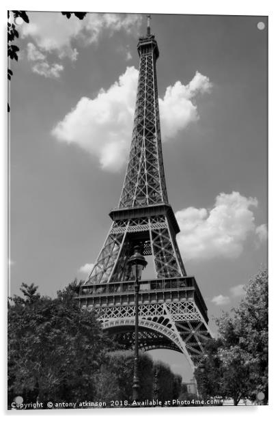 Eiffel Tower Paris in Black and White Acrylic by Antony Atkinson