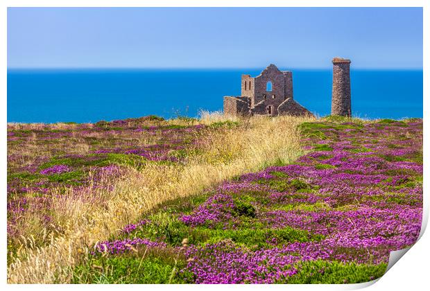 Majestic Tin Mine on Cornish Coast Print by Kevin Snelling