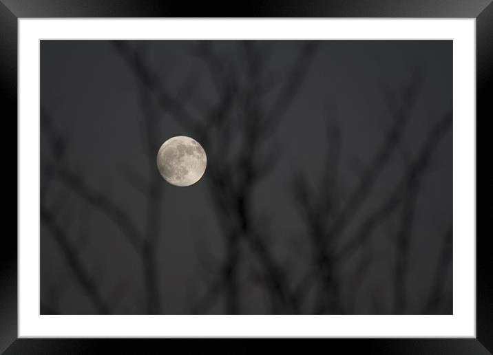 Full Moon Framed Mounted Print by Peter Elliott 