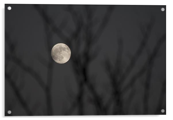 Full Moon Acrylic by Peter Elliott 