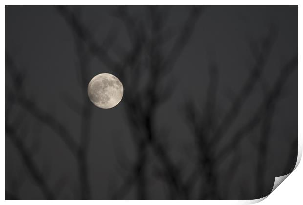 Full Moon Print by Peter Elliott 