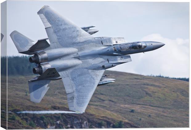 McDonnell Douglas F-15 Eagle Canvas Print by Rory Trappe