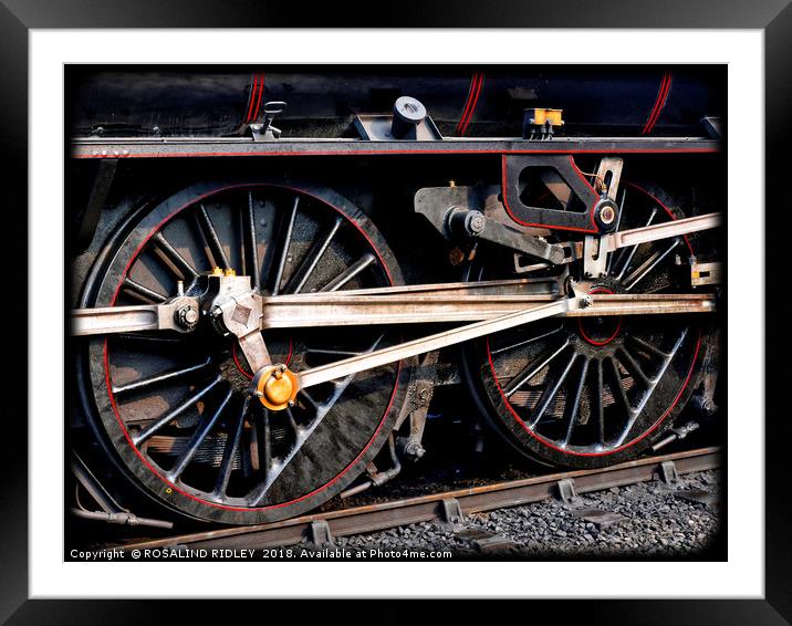 "Heavy Metal" Framed Mounted Print by ROS RIDLEY