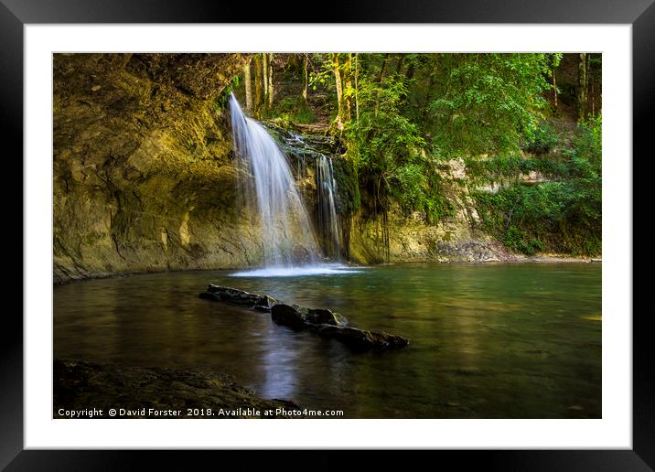 Woodland Waterfall Framed Mounted Print by David Forster
