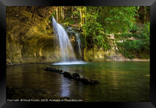 Woodland Waterfall Framed Print by David Forster