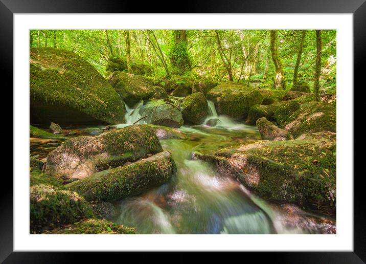 The Wooded Glade Framed Mounted Print by Kevin Snelling