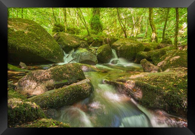 The Wooded Glade Framed Print by Kevin Snelling