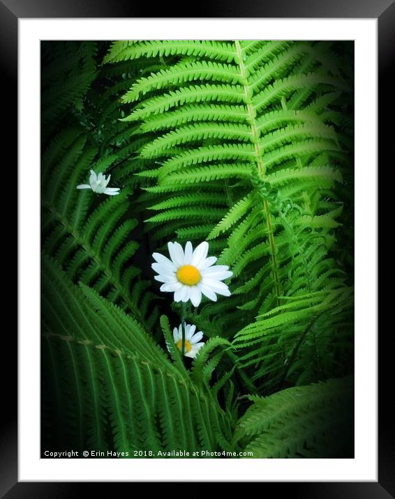 Summer Colors 2- Tucked Away Framed Mounted Print by Erin Hayes