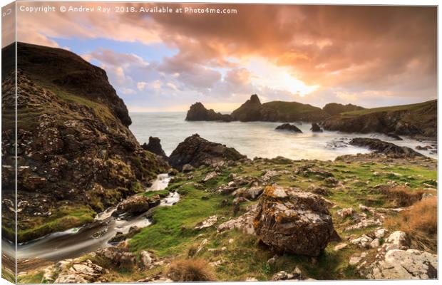 Sunset over Kynance Cove Canvas Print by Andrew Ray