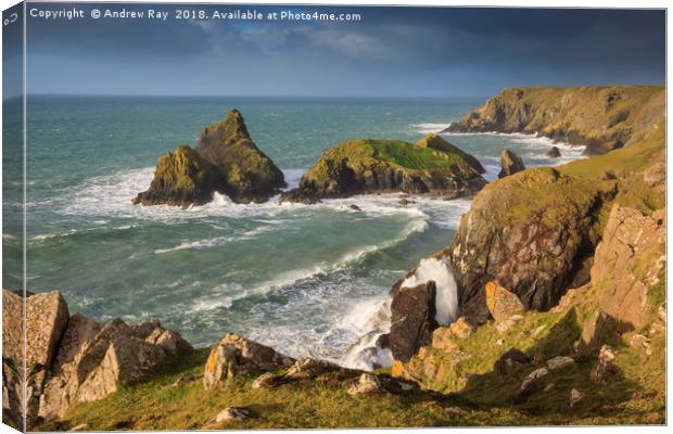 Above Kynance Cove Canvas Print by Andrew Ray
