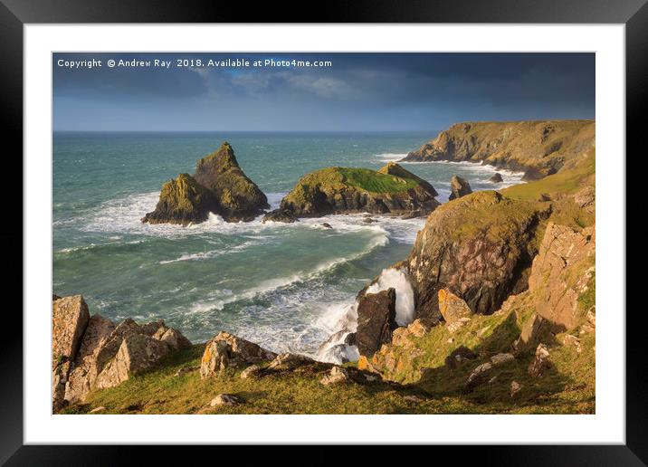 Above Kynance Cove Framed Mounted Print by Andrew Ray