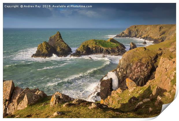 Above Kynance Cove Print by Andrew Ray
