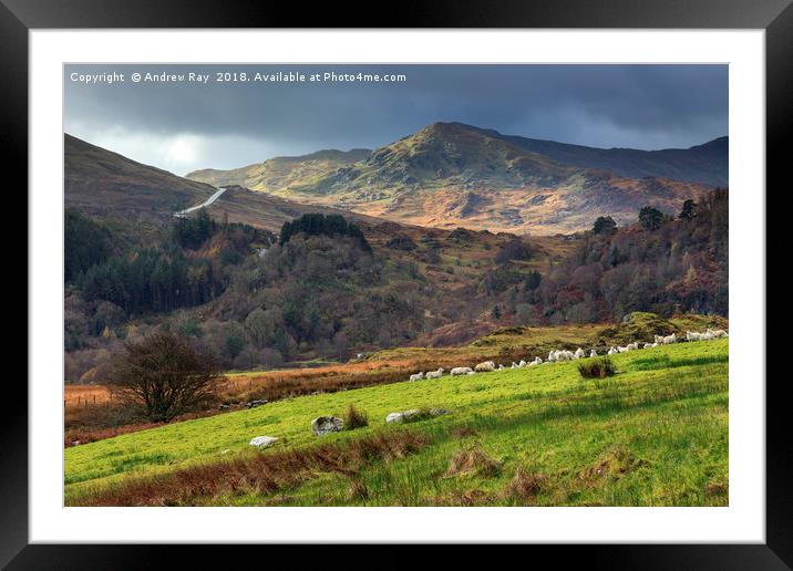 Dolwyddelan view Framed Mounted Print by Andrew Ray