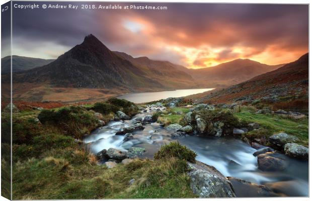 Towards Tryfan Canvas Print by Andrew Ray