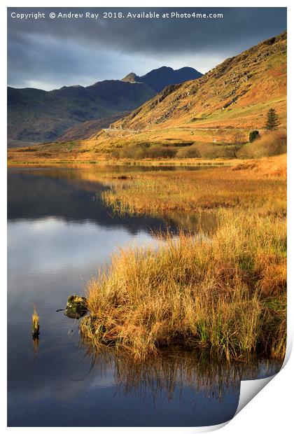 Llyn Lockwood Print by Andrew Ray