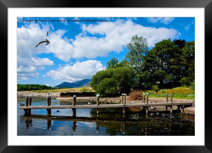 "Gulls in a row" on Derwent Water Framed Mounted Print by Frank Irwin