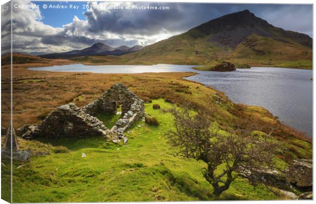 Into the light (Llyn Dywarchen) Canvas Print by Andrew Ray