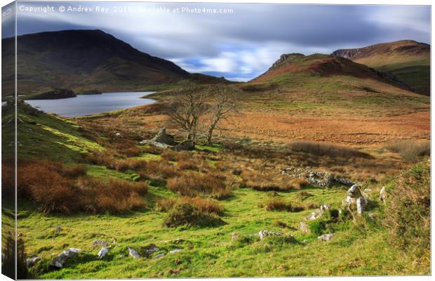 Llyn Dywarchen view Canvas Print by Andrew Ray