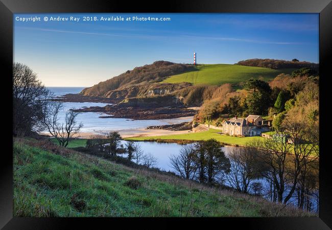Morning at Polridmouth Cove Framed Print by Andrew Ray