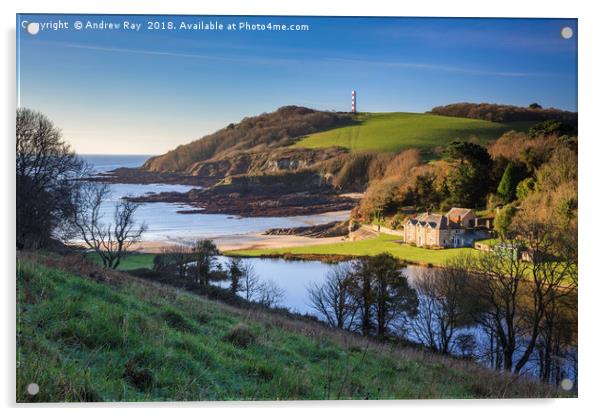 Morning at Polridmouth Cove Acrylic by Andrew Ray