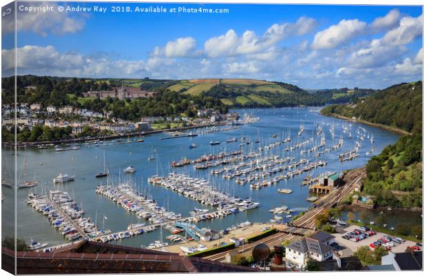 Above the River Dart (Kingswear) Canvas Print by Andrew Ray