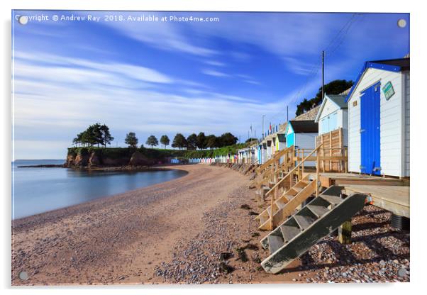 Beach huts at Corbyn Head Beach (Torquay) Acrylic by Andrew Ray