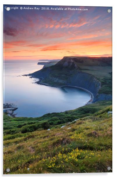 Chapman's Pool at Sunset by Andrew Ray Acrylic by Andrew Ray