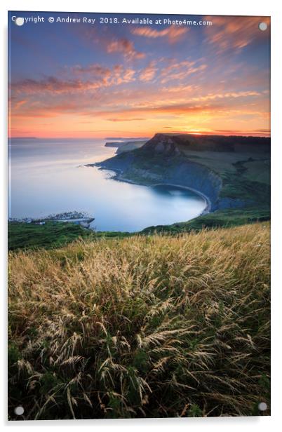 Sunset over Chapman's Pool by Andrew Ray Acrylic by Andrew Ray