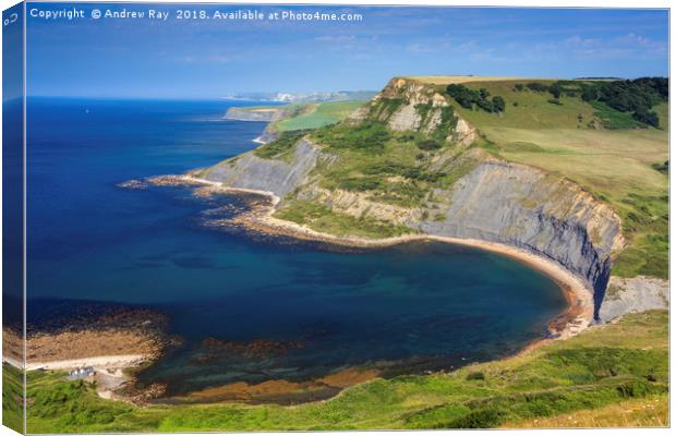 Jurassic Coast above Chapman's Pool by Andrew Ray Canvas Print by Andrew Ray